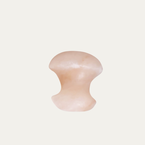 HIMALAYAN SALT MUSHROOM FACE MASSAGER